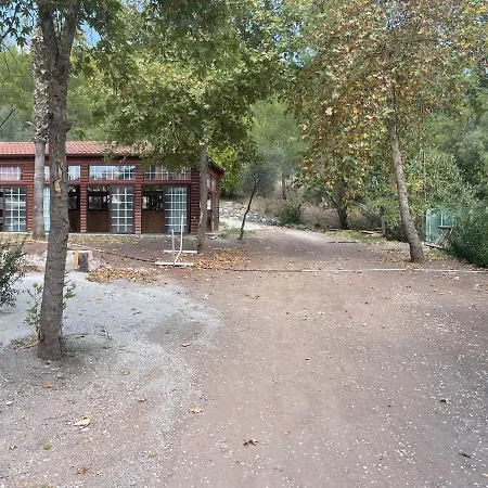 Siesta Fiesta * Olympos